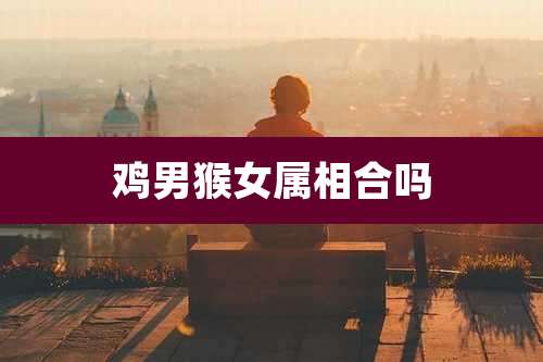 鸡男猴女属相合吗