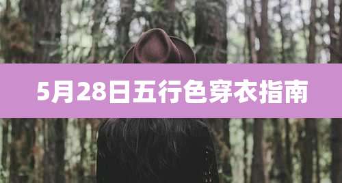 5月28日五行色穿衣指南