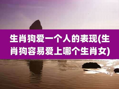 生肖狗爱一个人的表现(生肖狗容易爱上哪个生肖女)