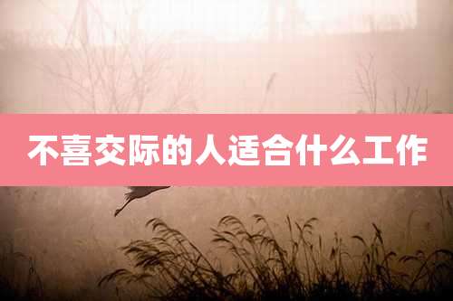 不喜交际的人适合什么工作