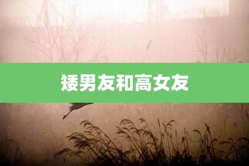 矮男友和高女友