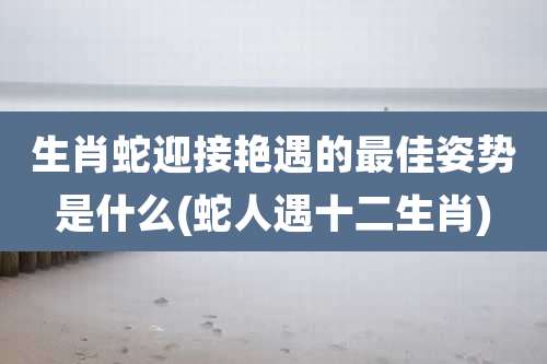 生肖蛇迎接艳遇的最佳姿势是什么(蛇人遇十二生肖)