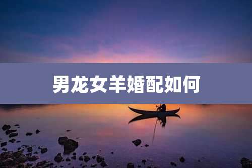 男龙女羊婚配如何