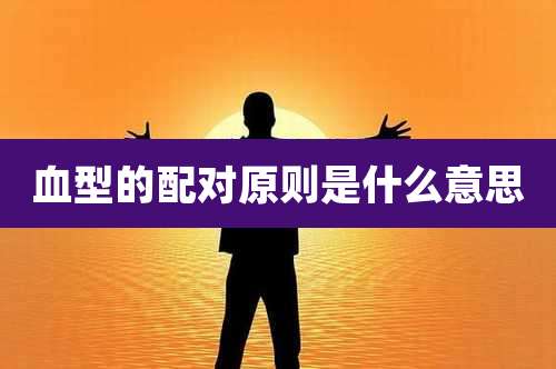 血型的配对原则是什么意思