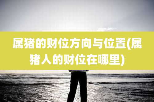 属猪的财位方向与位置(属猪人的财位在哪里)