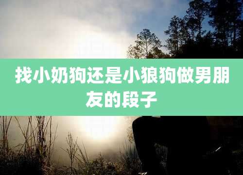 找小奶狗还是小狼狗做男朋友的段子