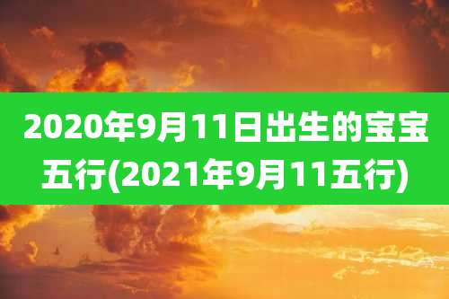 2020年9月11日出生的宝宝五行(2021年9月11五行)