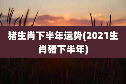 猪生肖下半年运势(2021生肖猪下半年)