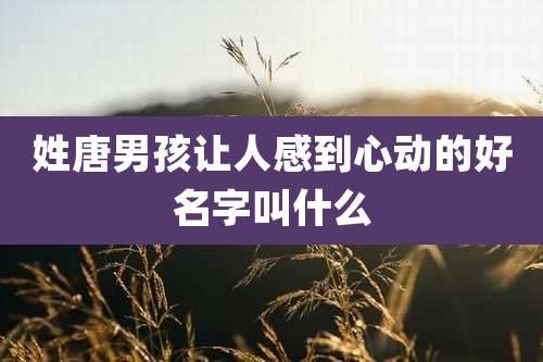 姓唐男孩让人感到心动的好名字叫什么