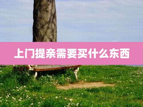 上门提亲需要买什么东西