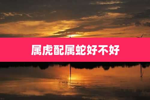 属虎配属蛇好不好
