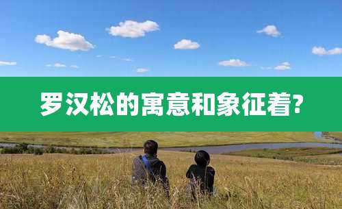 罗汉松的寓意和象征着?