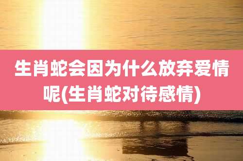 生肖蛇会因为什么放弃爱情呢(生肖蛇对待感情)