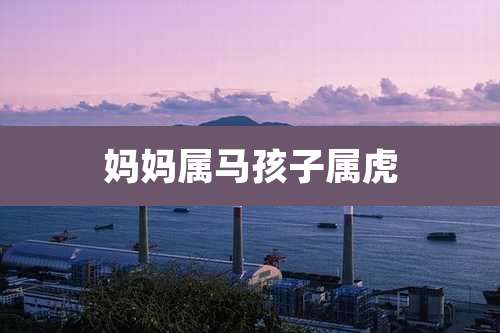 妈妈属马孩子属虎