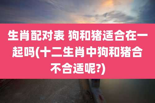 生肖配对表 狗和猪适合在一起吗(十二生肖中狗和猪合不合适呢?)