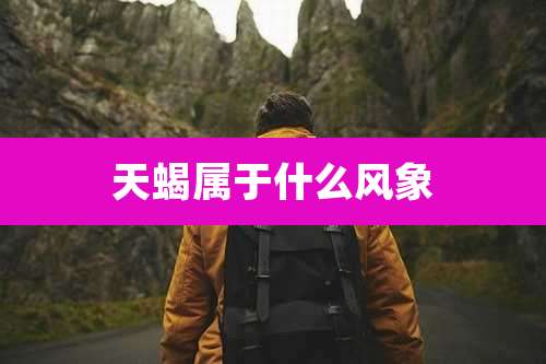 天蝎属于什么风象