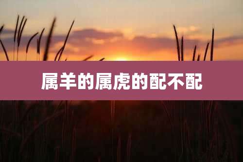 属羊的属虎的配不配