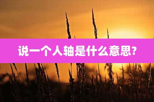 说一个人轴是什么意思?