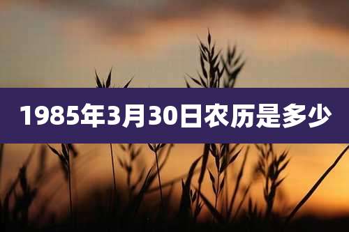 1985年3月30日农历是多少