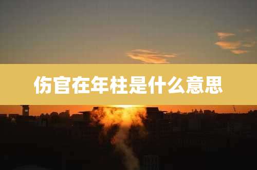 伤官在年柱是什么意思