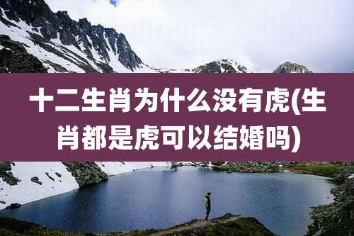 十二生肖为什么没有虎(生肖都是虎可以结婚吗)