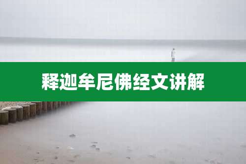 释迦牟尼佛经文讲解