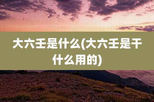 大六壬是什么(大六壬是干什么用的)