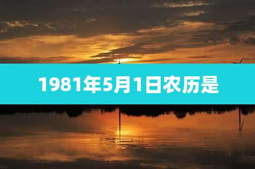1981年5月1日农历是