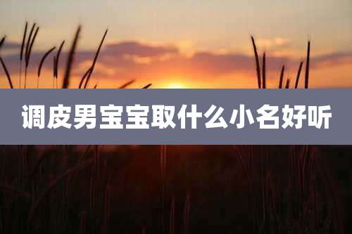 调皮男宝宝取什么小名好听