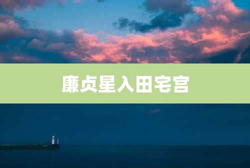 廉贞星入田宅宫