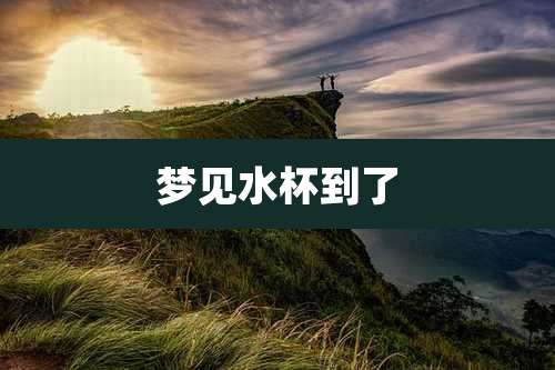 梦见水杯到了