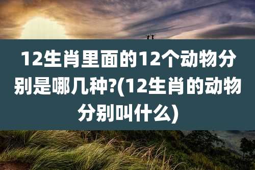 12生肖里面的12个动物分别是哪几种?(12生肖的动物分别叫什么)