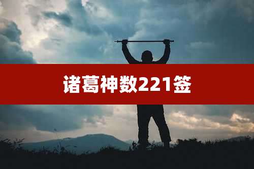 诸葛神数221签