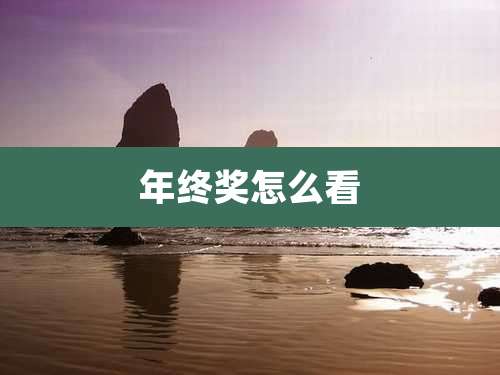 年终奖怎么看