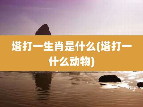 塔打一生肖是什么(塔打一什么动物)
