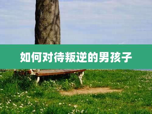 如何对待叛逆的男孩子