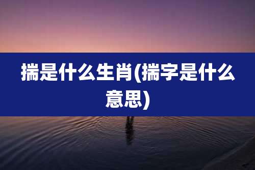 揣是什么生肖(揣字是什么意思)