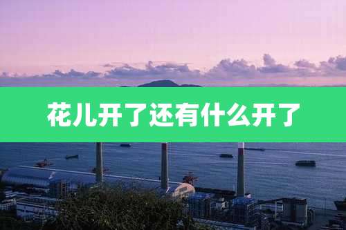 花儿开了还有什么开了