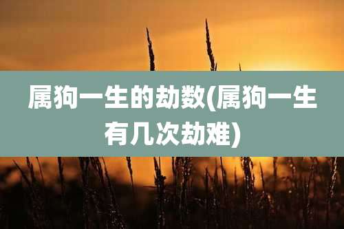属狗一生的劫数(属狗一生有几次劫难)