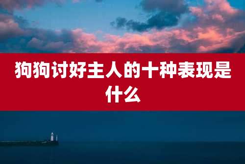 狗狗讨好主人的十种表现是什么