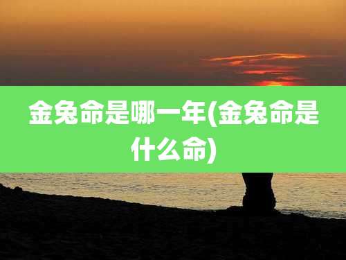 金兔命是哪一年(金兔命是什么命)
