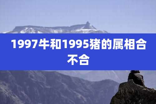 1997牛和1995猪的属相合不合
