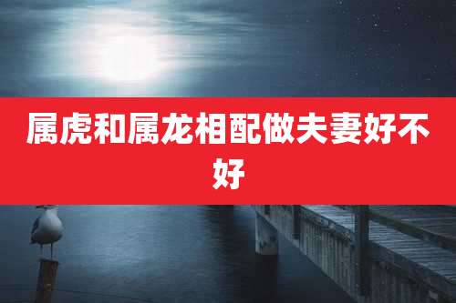 属虎和属龙相配做夫妻好不好