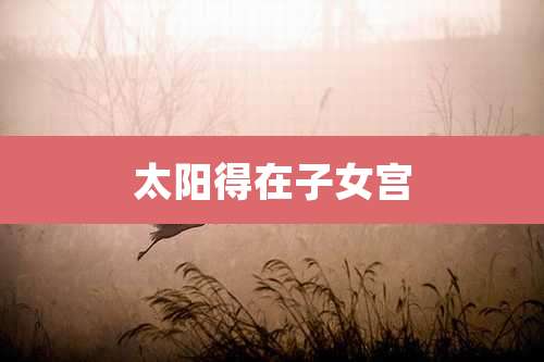 太阳得在子女宫