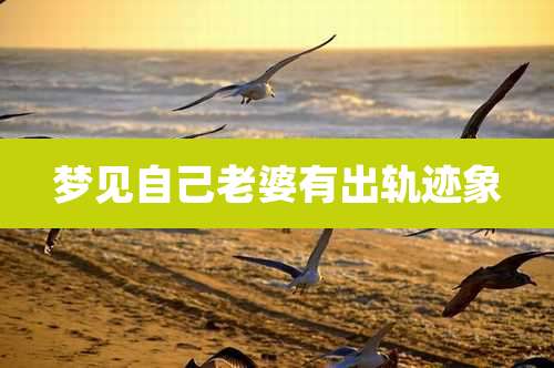 梦见自己老婆有出轨迹象