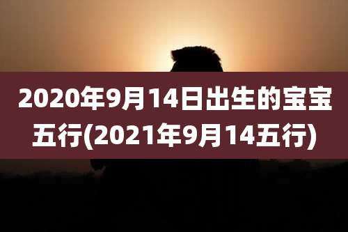 2020年9月14日出生的宝宝五行(2021年9月14五行)