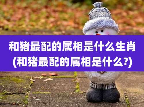 和猪最配的属相是什么生肖(和猪最配的属相是什么?)