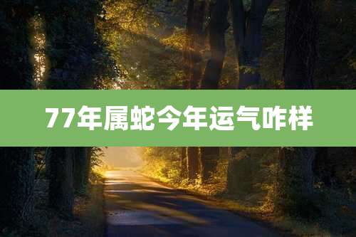 77年属蛇今年运气咋样