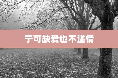 宁可缺爱也不滥情