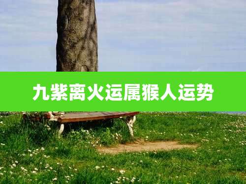 九紫离火运属猴人运势